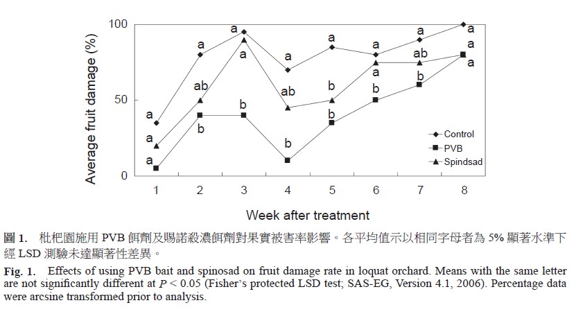 Effects of using PVB bait and spinosad on fruit damage rate in loquat orchard. Means with the same letter are not significantly different at P < 0.05 (Fisher’s protected LSD test
